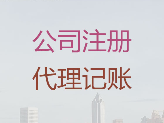 广州代理记账服务-财税代理